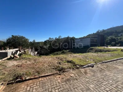 Lote/Terreno à venda, 559m² no Itacorubi, Florianópolis