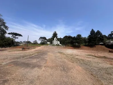 Galpão/Depósito/Armazém à venda, 10000m² no Centro, Campina Grande do Sul