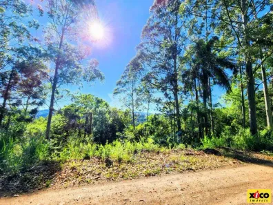 Fazenda/Sítio com 1 Quarto à venda, 5000m² no Pinhal Alto, Nova Petrópolis