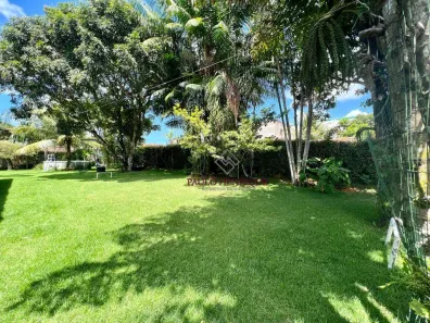 Lote/Terreno à venda, 350m² no Antares, Maceió