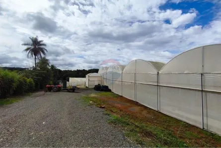 Fazenda/Sítio à venda, 26000m² no Estiva Gerbi, Estiva Gerbi