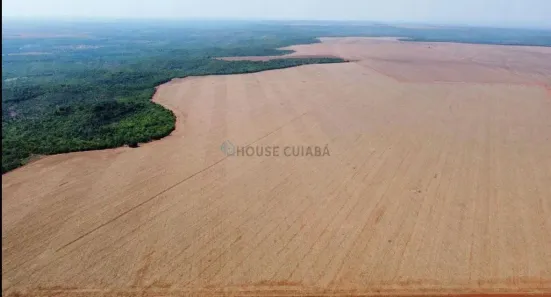 com 3 Quartos à venda, 590m² no , Alto Boa Vista