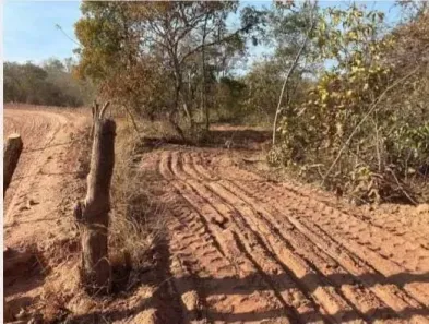 Fazenda/Sítio à venda, 1500000m² no , João Pinheiro