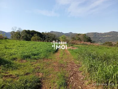 Fazenda/Sítio com 4 Quartos à venda, 168000m² no Zona Rural, Sinimbu