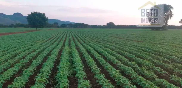 Fazenda/Sítio à venda, 150000000m² no Plano Diretor Norte, Palmas