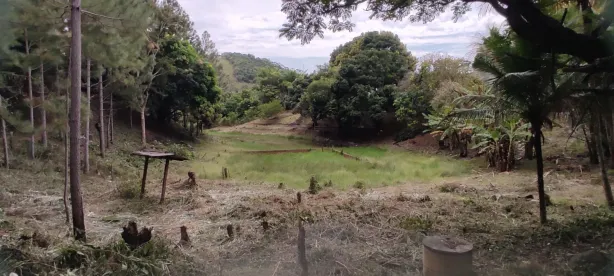 Fazenda/Sítio com 3 Quartos à venda, 192000m² no , Anchieta