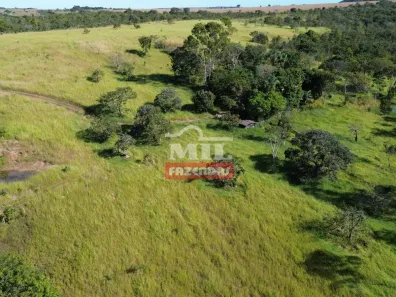Fazenda/Sítio à venda, 1m² no Área Rural de Nerópolis, Nerópolis
