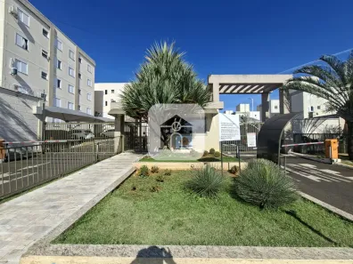 Apartamento com 2 Quartos para alugar, 45m² no Laranjeiras, Uberlândia