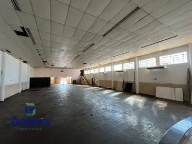 Galpão/Depósito/Armazém para alugar, 1248m² no Geraldo Correia de Carvalho, Ribeirão Preto