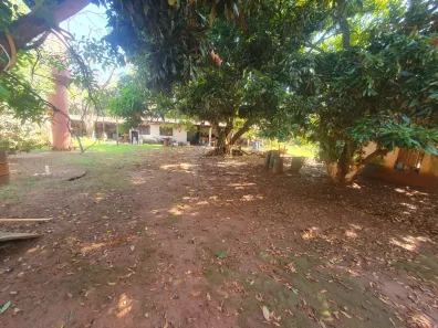 Fazenda/Sítio com 1 Quarto à venda, 120m² no Jardim Florestan Fernandes, Ribeirão Preto
