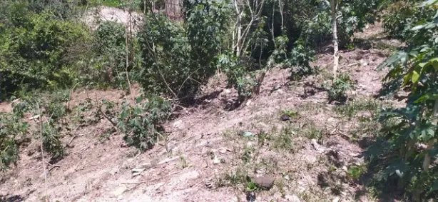 Lote/Terreno à venda, 250m² no Cidade São Pedro - Gleba C, Santana de Parnaíba