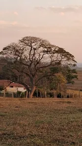 Fazenda/Sítio com 3 Quartos à venda, 30000m² no , Porangaba
