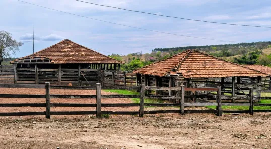 Fazenda/Sítio com 3 Quartos à venda, 180m² no , Marzagão