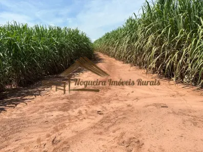 Fazenda/Sítio à venda, 1m² no Área Rural de Cerqueira César, Cerqueira César