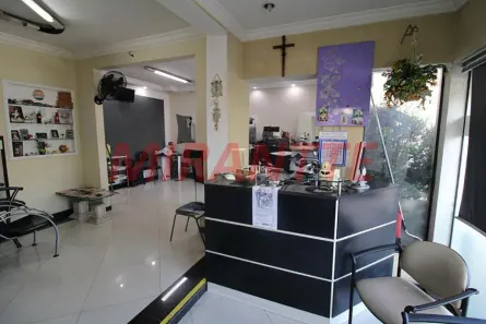 Imóvel Comercial com 3 Quartos à venda, 240m² no Vila Gustavo, São Paulo