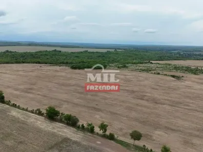 Fazenda/Sítio à venda, 500m² no , Pedro Afonso