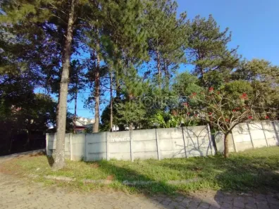 Lote/Terreno à venda, 586m² no Gramado, Cotia