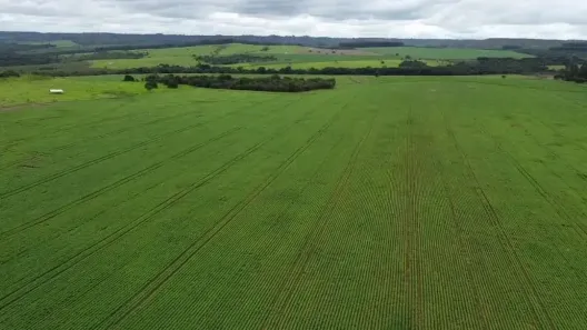Fazenda/Sítio com 4 Quartos à venda, 2980000m² no , Brasília