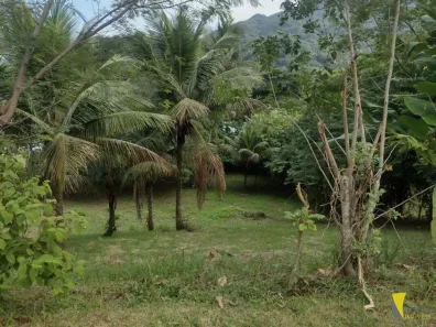 Lote/Terreno à venda, 1250m² no Enseada, Ubatuba