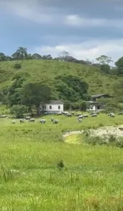 Fazenda/Sítio à venda, 4501200m² no , Registro