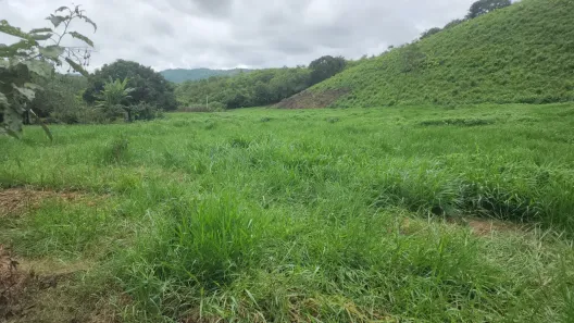 Fazenda/Sítio à venda, 943100m² no Centro, Alagoa Grande