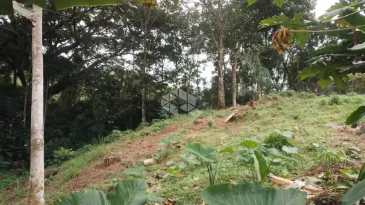 Lote/Terreno à venda, 686m² no Lagoa da Conceição, Florianópolis