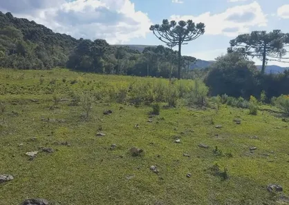 Fazenda/Sítio à venda, 580000m² no , São Joaquim