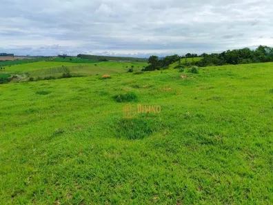Fazenda/Sítio à venda, 428340m² no Vila São Gonçalo, Itapetininga