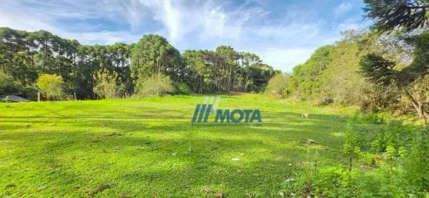 Fazenda/Sítio com 1 Quarto à venda, 20m² no São Gabriel, Colombo
