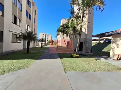Apartamento com 2 Quartos à venda, 49m² no Jardim Novo Sabará, Londrina