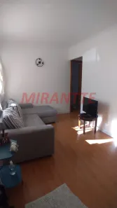 Apartamento com 2 Quartos à venda, 50m² no Parque São Luís, São Paulo