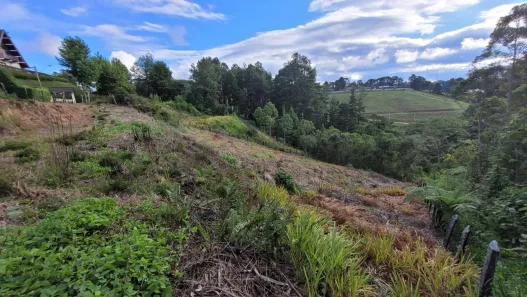 Lote/Terreno à venda, 75m² no Alto do Capivari, Campos do Jordão