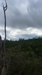 Lote/Terreno à venda, 3838m² no Caeté-Açu, Palmeiras