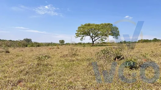Fazenda/Sítio à venda, 20000m² no , Abadiânia
