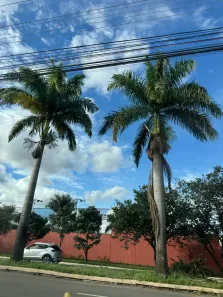 Lote/Terreno com 1 Quarto à venda, 438m² no Jardim Vila Boa, Goiânia