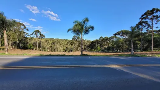 Lote/Terreno à venda, 20000m² no Lageado, Campo Alegre