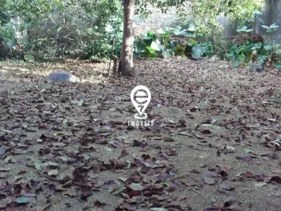 Lote/Terreno à venda, 500m² no Vila da Saúde, São Paulo