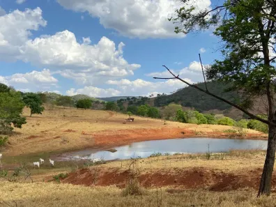 Fazenda/Sítio com 2 Quartos à venda, 115m² no , Guarinos