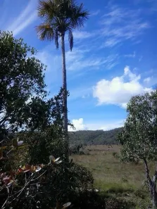 Fazenda/Sítio com 1 Quarto à venda, 387m² no , Teresina de Goiás