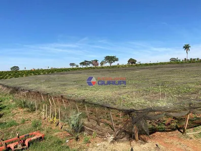 Lote/Terreno à venda, 16m² no Centro, Jales