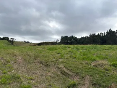 Lote/Terreno à venda, 18000m² no Jardim Villaça, São Roque