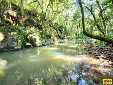 Fazenda/Sítio com 1 Quarto à venda, 5000m² no , Nova Petrópolis