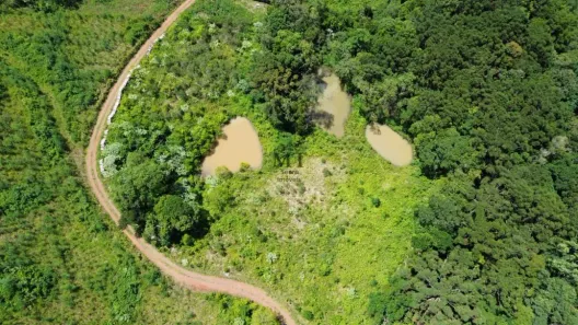 Lote/Terreno à venda, 17000m² no Linha Cristo Rei, Morro Reuter