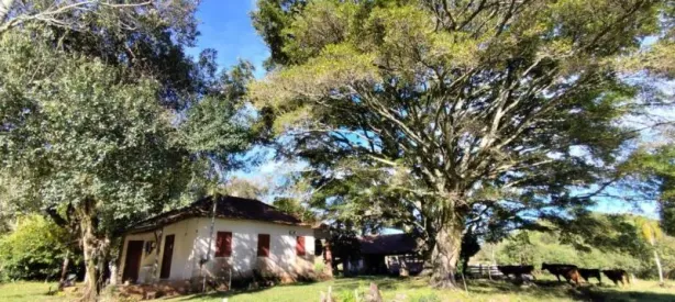 Fazenda/Sítio à venda, 70m² no , Rolante