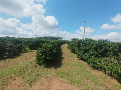 Fazenda/Sítio com 8 Quartos à venda, 1645600m² no , Arceburgo