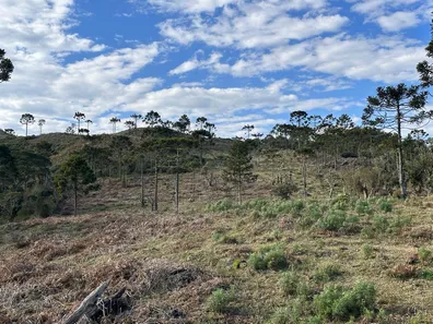 Fazenda/Sítio à venda, 20000m² no , Urubici