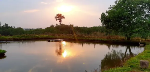 Fazenda/Sítio com 3 Quartos à venda, 500m² no Morada do Sol, Uberlândia