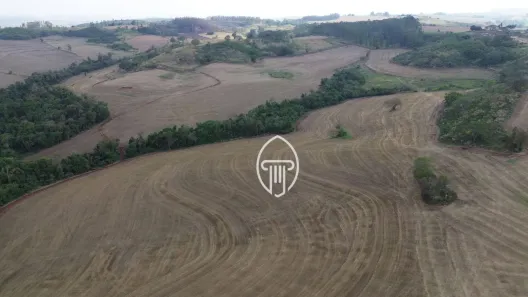 Fazenda/Sítio à venda, 1004300m² no Londrina, Londrina