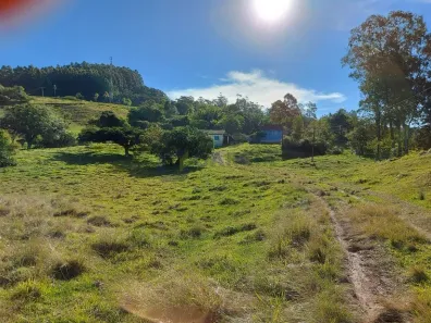 Fazenda/Sítio à venda, 32500m² no Porto Colônia, Dom Pedro de Alcântara
