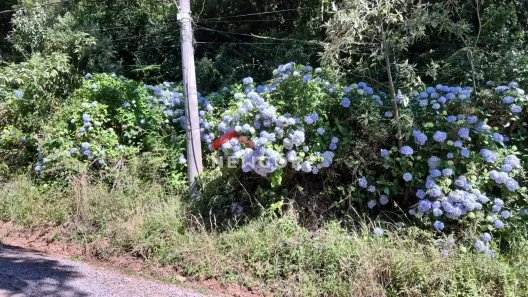 Lote/Terreno à venda, 1028m² no Centro, São Francisco de Paula